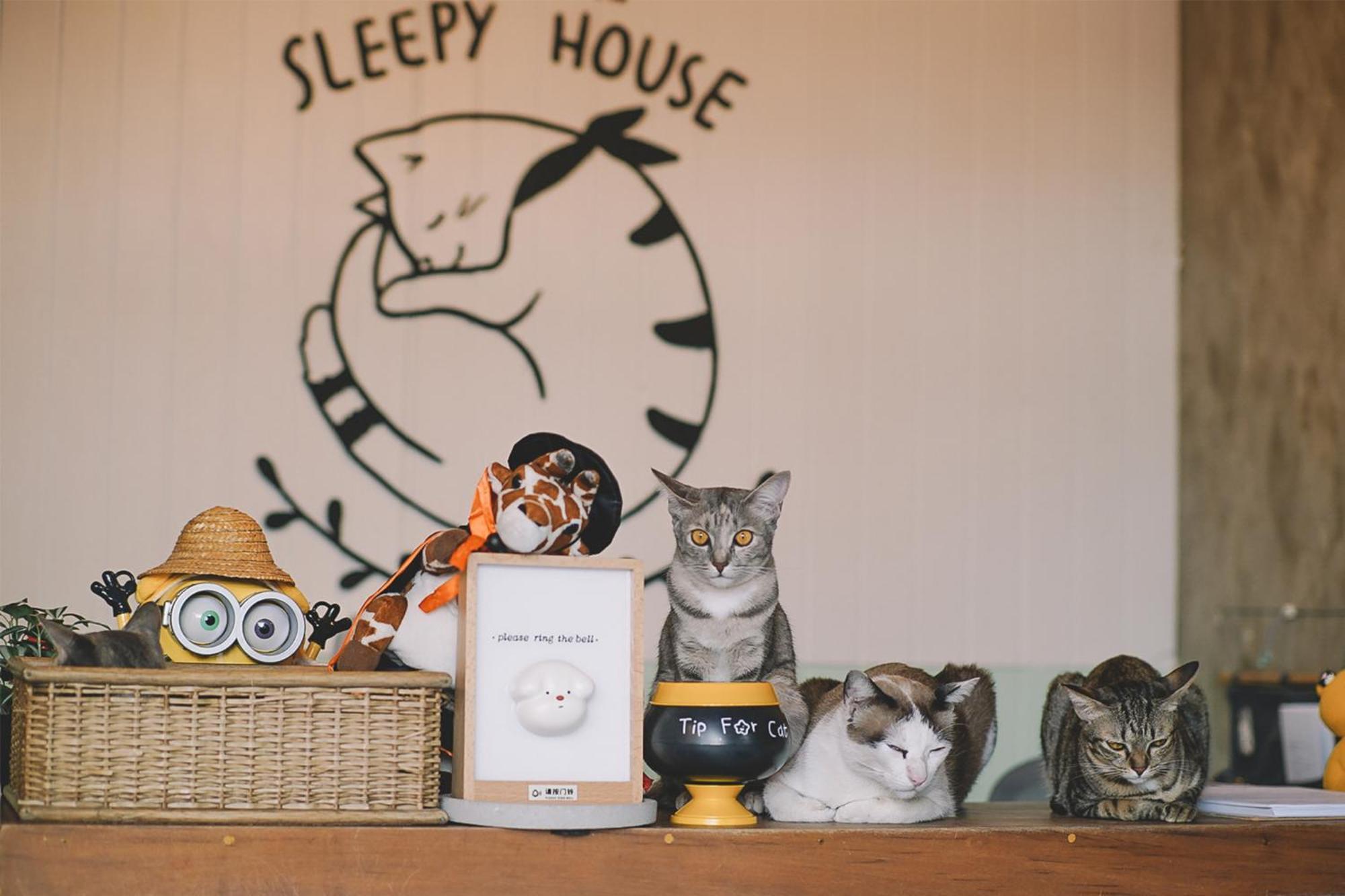 Sleepy House Chiang Rai Bed and Breakfast Exteriör bild