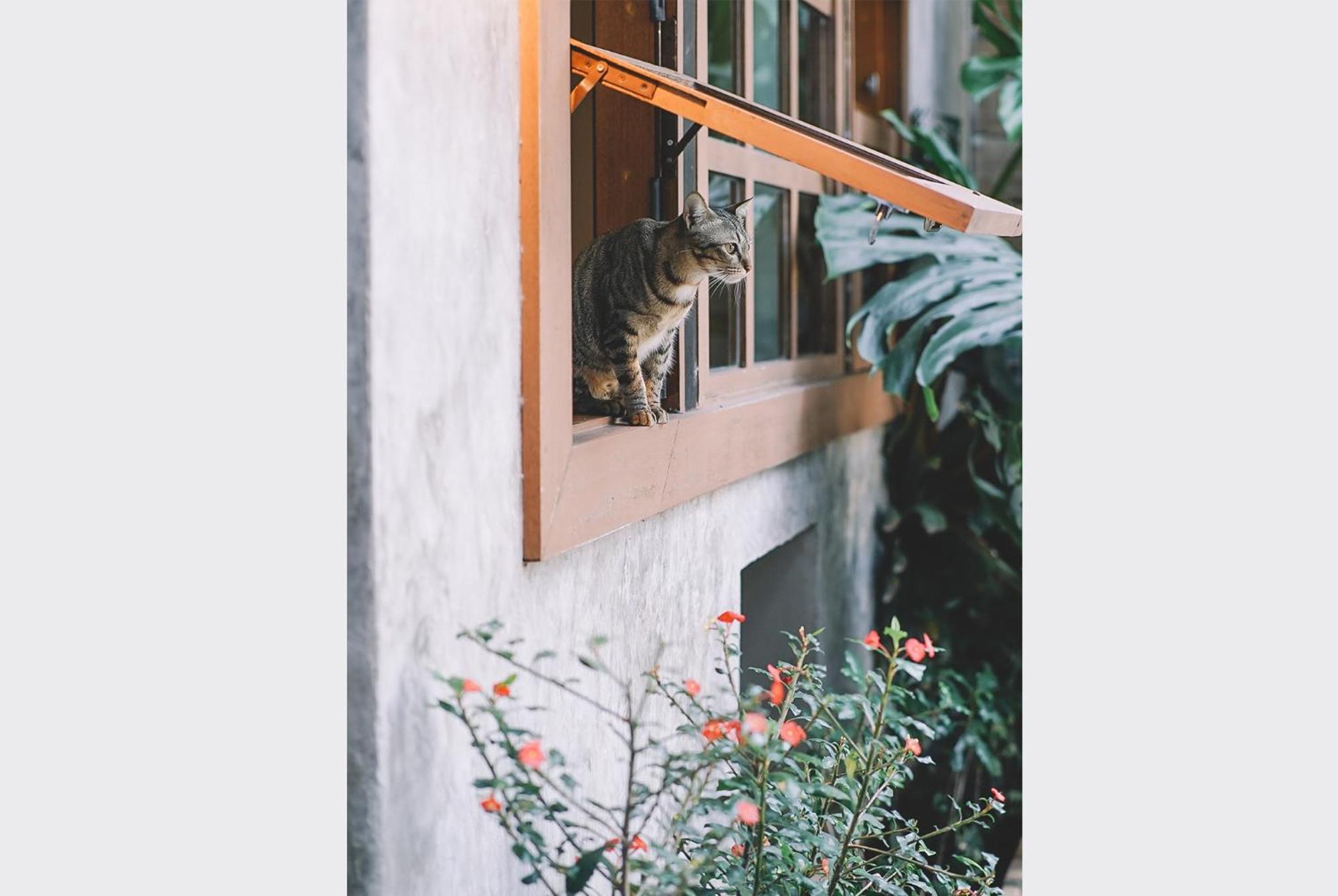 Sleepy House Chiang Rai Bed and Breakfast Exteriör bild