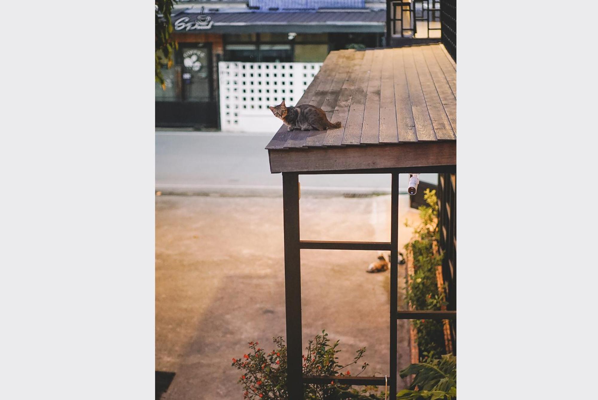 Sleepy House Chiang Rai Bed and Breakfast Exteriör bild